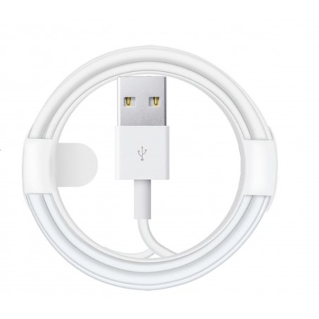 Câble Lightning vers USB iphone, ipad, ipod-1m