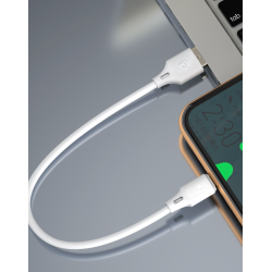 WK Data câble iPhone lightning Blanc 25 cm