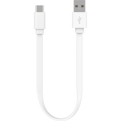 Câble USB C Vers USB Blanc 20cm Plat