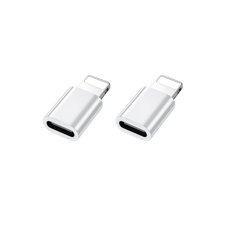 2 Adaptateurs Type C Femelle vers lightning pour iphone 14 /13/12/11/XS max