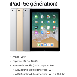 Chassis Complete iPad 5 (A1822) Chassis + Silver Battery 89%